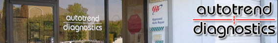 Shop Banner