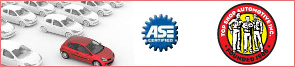 Shop Banner